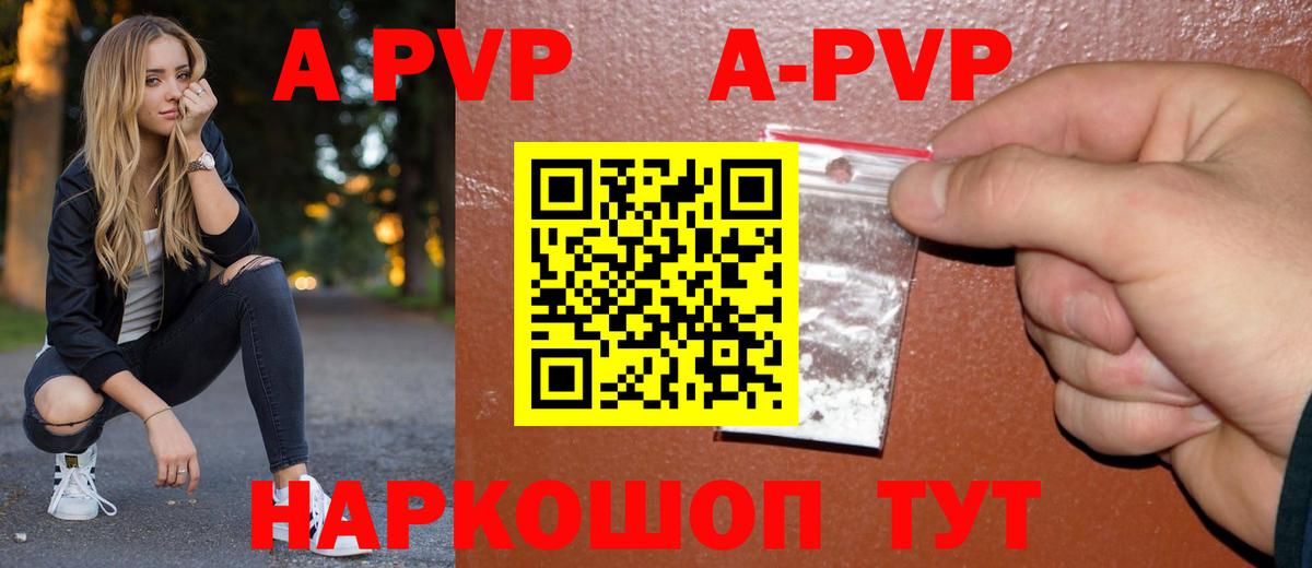 Альфа ПВП СК Новозыбков