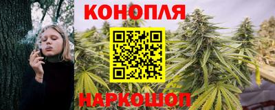 гидропоника Рязань