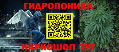 гидропоника Рязань