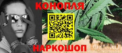 гидропоника Рязань