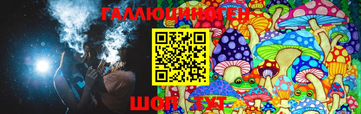 Псилоцибиновые грибы MAGIC MUSHROOMS  Вход с VPN  Псилоцибиновые грибы Cubensis  Новозыбков 